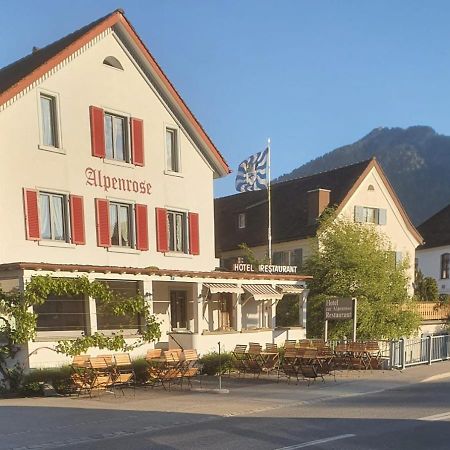 Hotel Alpenrose Майенфельд Экстерьер фото